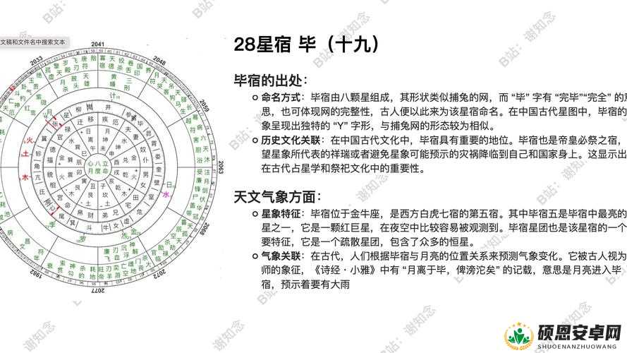 大话西游手游毕宿BOSS高效挑战策略，快速击杀技巧与攻略分享